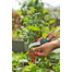 GARDENA Coltello per erbe e verdure VeggieCut