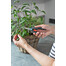 GARDENA Forbici per erbe e verdure FreshCut
