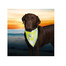 TRIXIE Bandana di sicurezza XS - S  22 - 28 cm