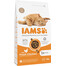 Cat Adult All Breeds Chicken 3 kg