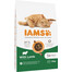 ProActive Health Adult with Lamb & Chicken 10kg