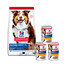 HILL'S Science Plan Canine Mature Adult Lamb & Rice 14 kg per cani anziani + 3 lattine GRATIS