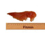 FITMIN For Life Chicken breast 200 g petto di pollo snack per cani