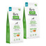 BRIT Care Grain-free Adult Large Breed Salmon 2 x 12kg cibo per cani di grossa taglia senza cereali al salmone