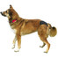 TRIXIE Slip da parto S 24-31 cm