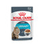 ROYAL CANIN Urinary Care 85g