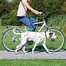TRIXIE Guinzaglio da bicicletta e jogging