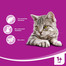 WHISKAS Anti-hairball 50g - riduce la formazione di gomitoli di pelo