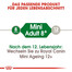 ROYAL CANIN Mini adult 8+ 4 kg cibo secco per cani anziani da 8 a 12 anni di età, razze di piccola taglia