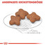 ROYAL CANIN Mini adult 8+ 4 kg cibo secco per cani anziani da 8 a 12 anni di età, razze di piccola taglia