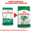 ROYAL CANIN Mini adult 8+ 4 kg cibo secco per cani anziani da 8 a 12 anni di età, razze di piccola taglia