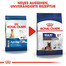 ROYAL CANIN Maxi ageing 8+ 3 kg cibo secco per cani maturi di età superiore agli 8 anni, razze di taglia grande