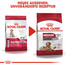 ROYAL CANIN Medium Ageing 10+ 3 kg cibo secco per cani maturi di età superiore ai 10 anni, razze di media taglia