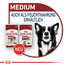 ROYAL CANIN Medium Ageing 10+ 3 kg cibo secco per cani maturi di età superiore ai 10 anni, razze di media taglia