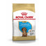 ROYAL CANIN Dachshund Puppy Junior 1.5 kg
