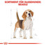 ROYAL CANIN Beagle adult 3 kg