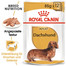 ROYAL CANIN Dachshund 85 Gr