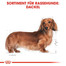 ROYAL CANIN Dachshund 85 Gr