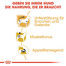 ROYAL CANIN Dachshund 85 Gr
