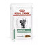 ROYAL CANIN Cat diabetic 12 x 85g cibo umido dietetico per gatti adulti con diabete mellito