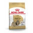 ROYAL CANIN Shih Tzu adult 1.5 kg