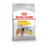 ROYAL CANIN Medium dermacomfort 3 kg