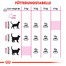 ROYAL CANIN Exigent Savour Sensation 10 kg + 2 kg