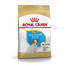 ROYAL CANIN Jack Russell Terrier Puppy 0.5 kg