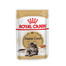 ROYAL CANIN Mainecoon 12 x 85 g