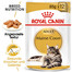 ROYAL CANIN Maine Coon Adult 85g