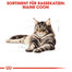 ROYAL CANIN Maine Coon Adult 85g