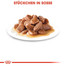 ROYAL CANIN Intense BEAUTY in salsa 85 g x 12