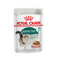 ROYAL CANIN INSTINCTIVE 7+ in salsa 12 x 85 g
