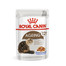 ROYAL CANIN Ageing + 12 Jelly 12x85g