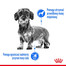 ROYAL CANIN Light Weight Care 12 x 85 g