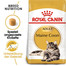 ROYAL CANIN Maine Coon Adult 20kg (2x10kg)