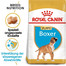 ROYAL CANIN Boxer Puppy Junior 24kg (2x12kg)