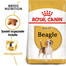 ROYAL CANIN Beagle Adult 24kg (2x12kg)