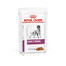 ROYAL CANIN Early Renal straccetti in salsa 12 x 100 g