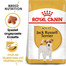 ROYAL CANIN Jack Russell Terrier Adult 15kg (2x7.5kg)