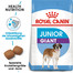 ROYAL CANIN Giant Junior 30kg (2x15kg)
