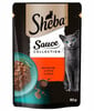 SHEBA Sauce Collection in bustina 85g alimento umido completo per gatti adulti bocconcini con manzo in salsa