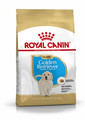 ROYAL CANIN Golden Retriever Puppy Junior 12kg