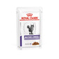 ROYAL CANIN VHN Cat Mature Consult 12x85g