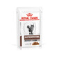 ROYAL CANIN Cat Gastro Intestinal Moderate Calorie 12 x 85g