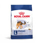 ROYAL CANIN Maxi Adult 15 kg cibo secco per cani adulti fino a 5 anni di età, razze grandi