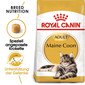 ROYAL CANIN Maine coon 10 kg