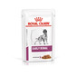 ROYAL CANIN Early Renal straccetti in salsa 12 x 100 g